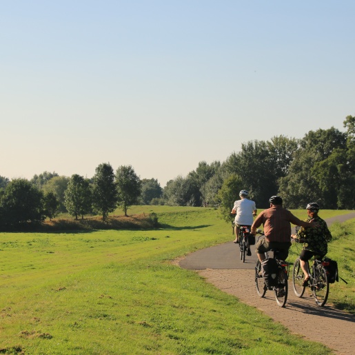 Vier Radfahrer auf dem Deich im Ortsteil Habenhausen